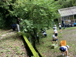 Img_1726