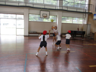 Img_5781 Img_5781