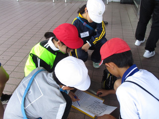 Img_5799 Img_5799