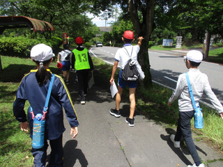 Img_5803 Img_5803