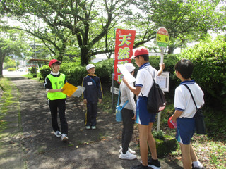Img_5805 Img_5805