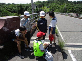 Img_5810 Img_5810