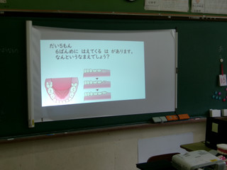 100_2515 100_2515