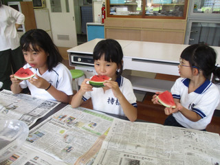 Img_6165 Img_6165