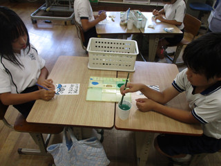 Img_6173 Img_6173