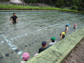 Img_6176 Img_6176