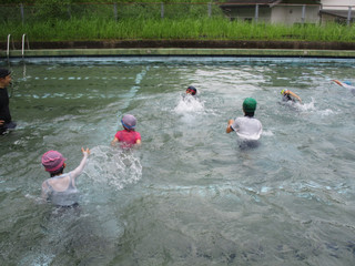 Img_6180 Img_6180