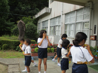 Img_7863 Img_7863